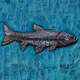 Topmouth Gudgeon (Preudorasbora parva) Gold leaf and oil colour on wood H.20 x 20 x 2cms