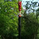 'Big Witch 2' 2005 Oil colour on sweet chestnut Height 4.26 m